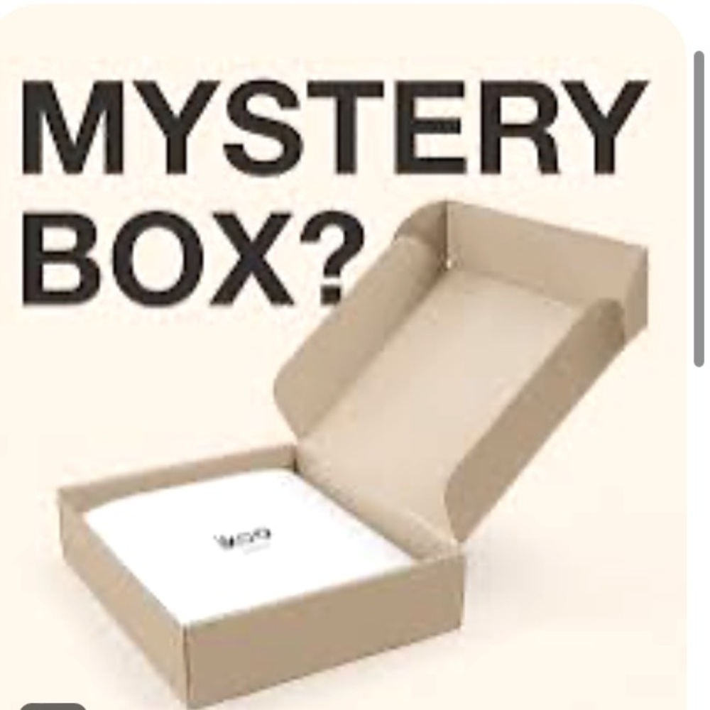Mystery box of Zara, mango , Phillip Lim